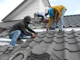 Best Roof Moss and Algae Removal  in Energy, IL